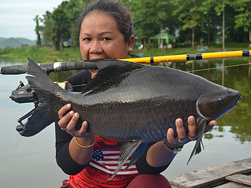 Рекордный черный лабео, весом 6.5 кг, Тайланд