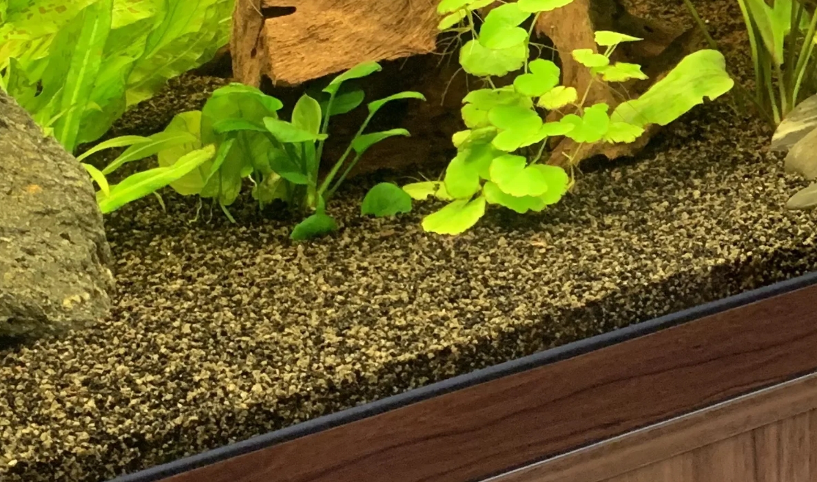Аквариумный грунт с растениями