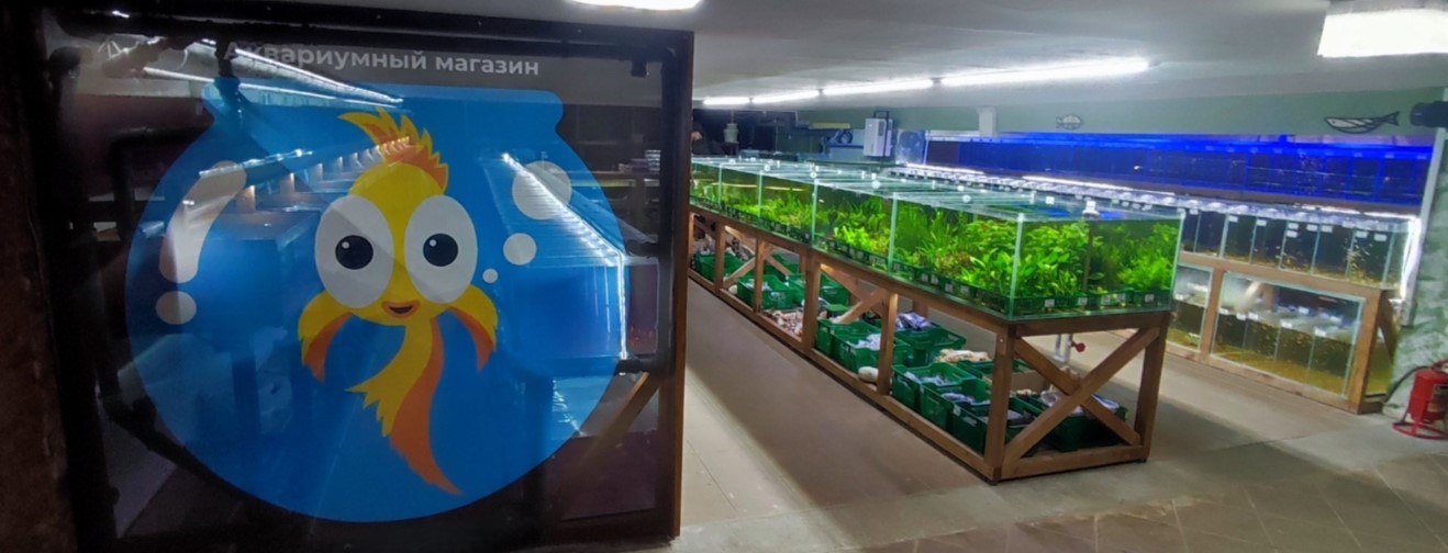 Магазин аквариумных рыбок Рыбка Дома Москва ул. Гарибальди 36